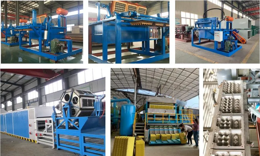 Factory Price Egg Tray Making Machine Production Line Egg Carton Making Machine Paper Pulp Products for Packaging Industry