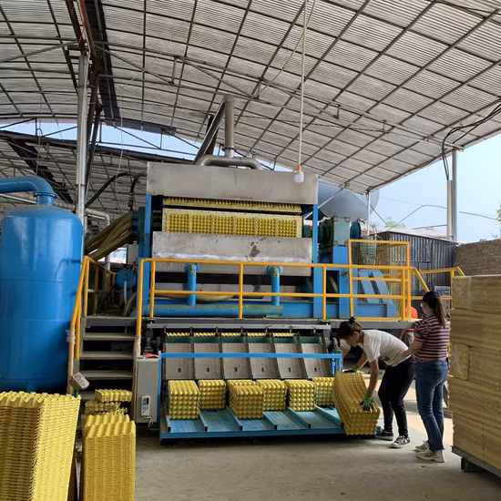 Macchina per la formatura di vassoi per uova per carta straccia. Macchina per vassoio rotativo per uova